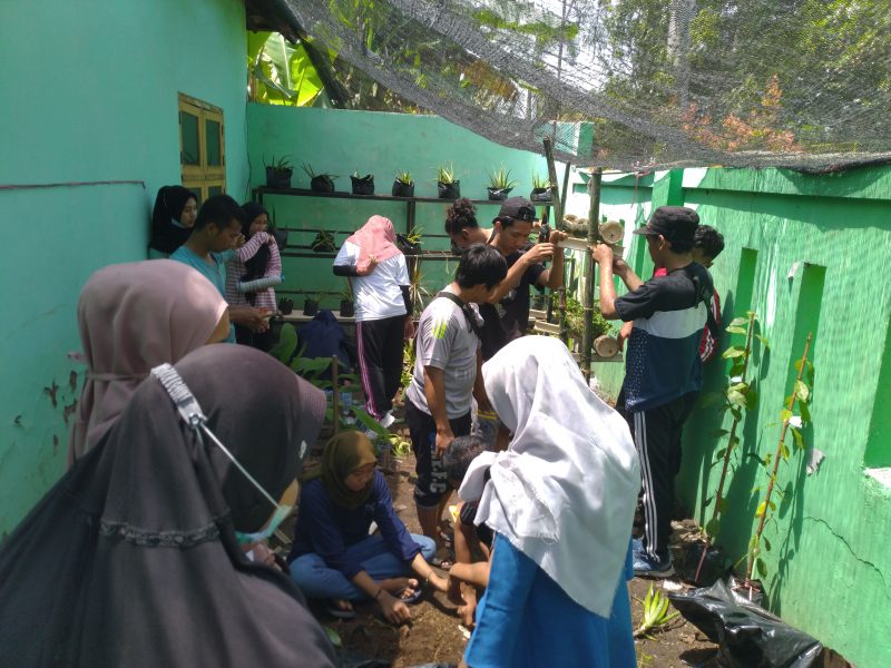 Ide Kreatif Menata Taman Dari Tanaman Obat Riset