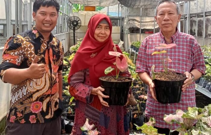 Mencintai Tanaman Hias, Ketua PP Muhammadiyah Pilih Produk Agribisnis Umsida