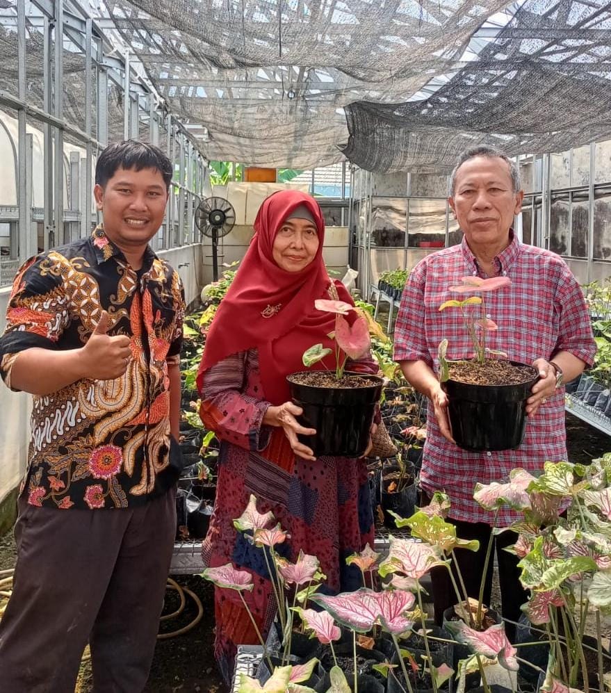 Mencintai Tanaman Hias, Ketua PP Muhammadiyah Pilih Produk Agribisnis Umsida