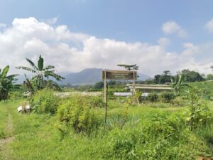 Wisata Agro Lembah Kecubung