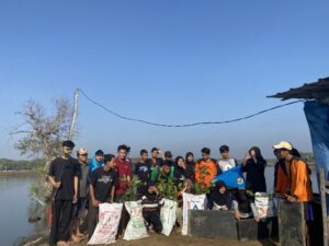 Himmpas mangrove conservation