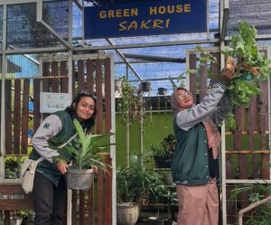 Mahasiswa KKN T Umsida Rehabilitasi Green House