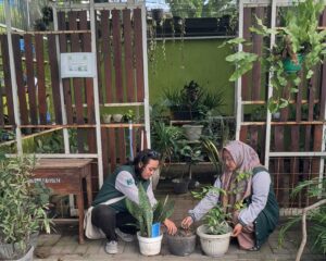 Mahasiswa KKN T Umsida Rehabilitasi Green House