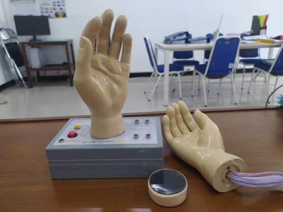 Mannequin Acupressure point