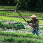 petani milenial (unsplash)