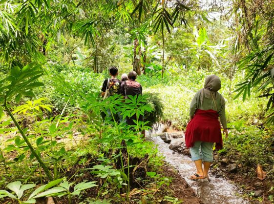 KKNP 50 edukasi tentang hutankonservasi