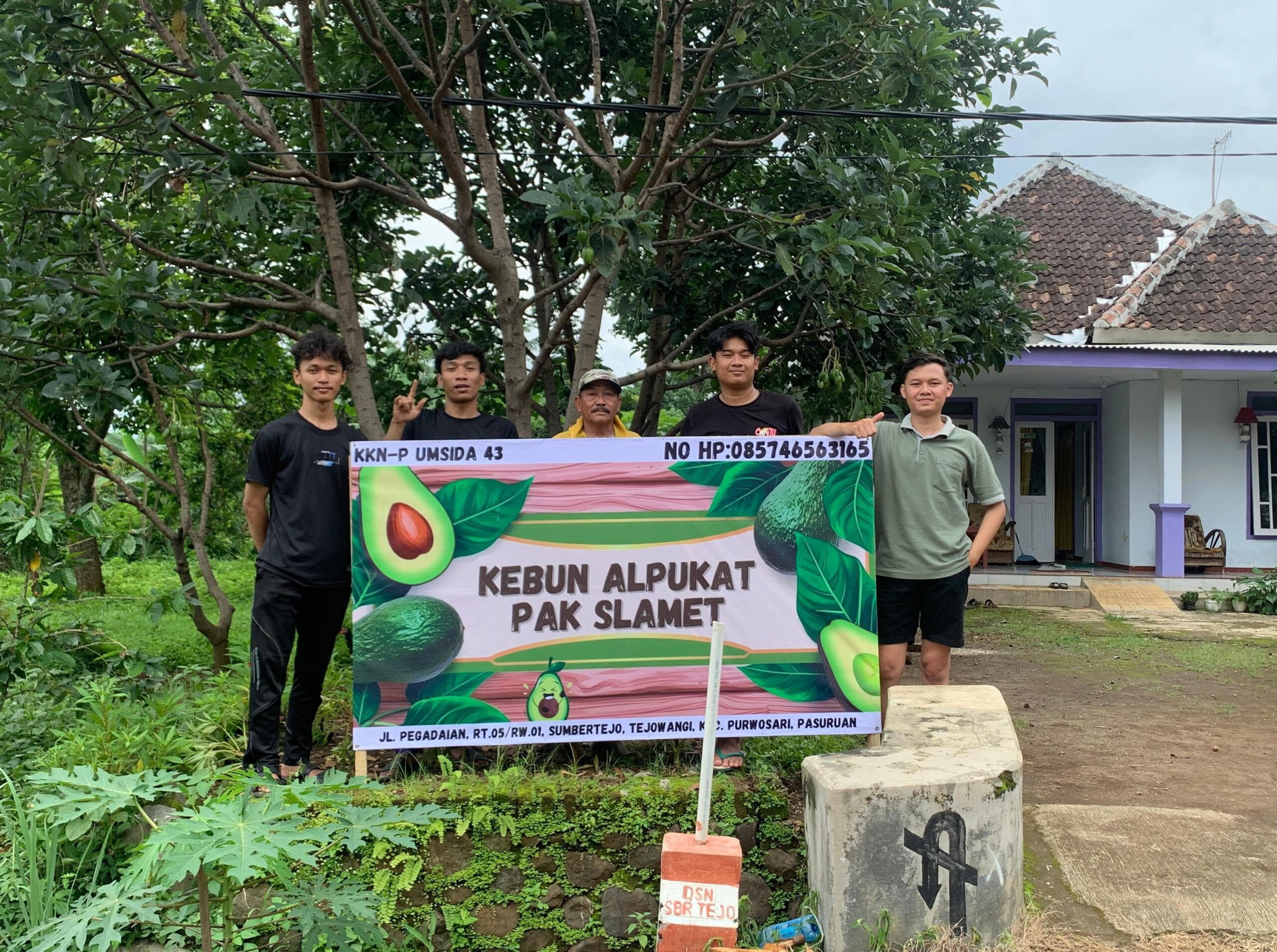 Kebun alpukat Tejowangi