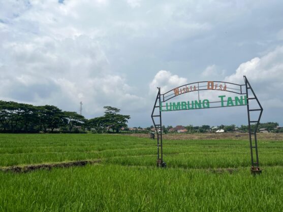 Kekuatan Branding KKN-P 34 Hidupkan Wisata Lumbung Desa