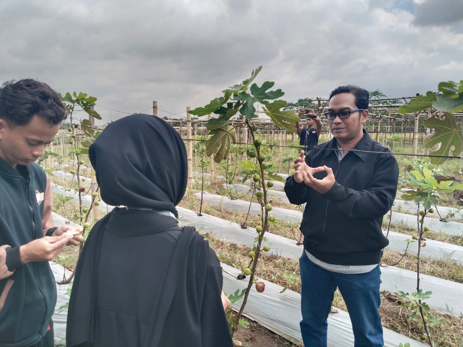 petik buah Candiwatu 1