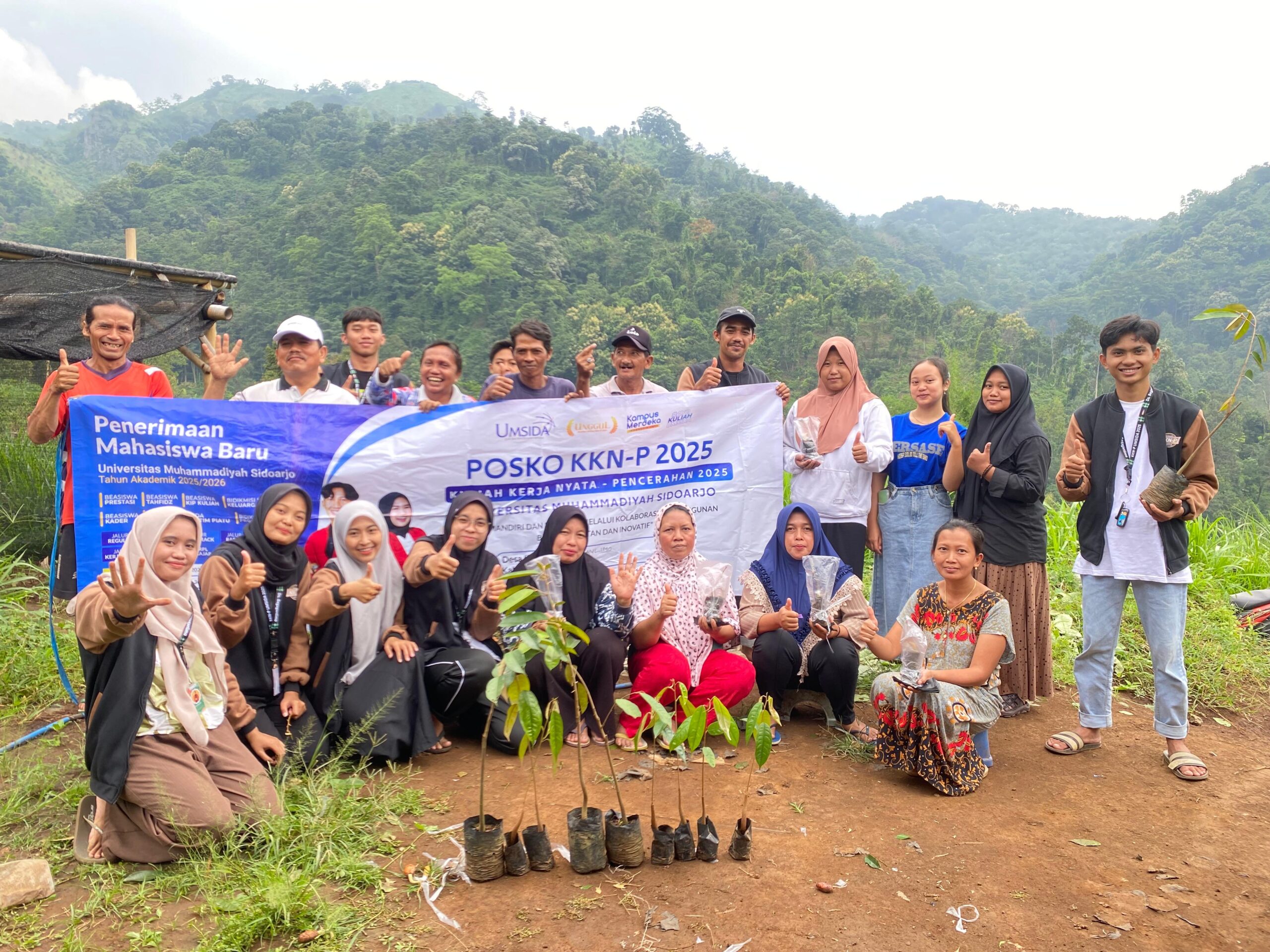 stek batang durian desa Begaganlimo