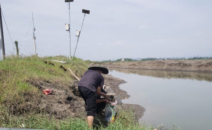 inovasi biochar manfaatkan lumpur lapindo