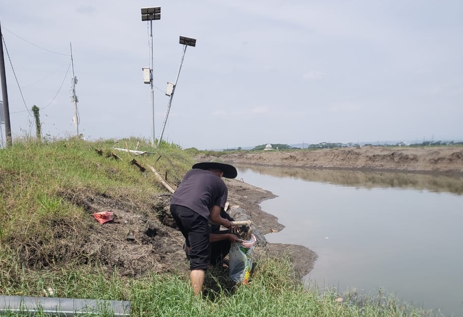 inovasi biochar manfaatkan lumpur lapindo