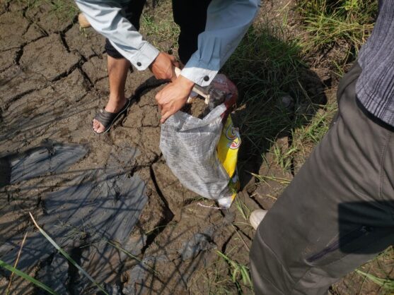 inovasi biochar manfaatkan lumpur lapindo