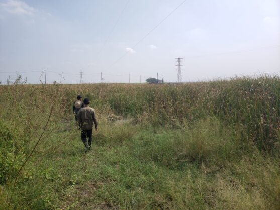 inovasi biochar manfaatkan lumpur lapindo