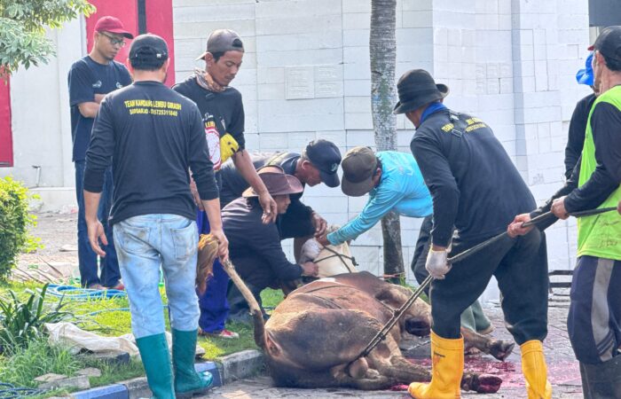 idul adha Umsida 4