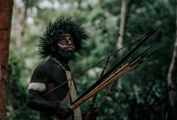 konsesi hutan (Pexels)