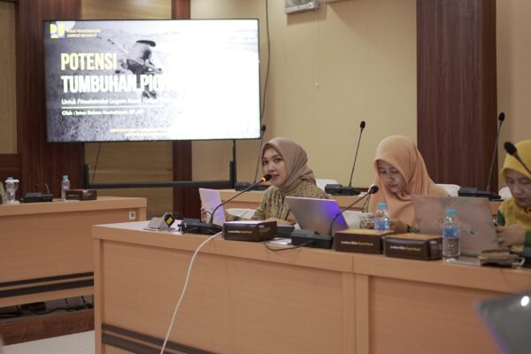 potensi Lumpur Sidoarjo 2