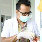 cegah gigi berlubang