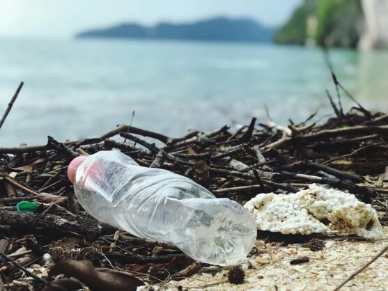 paparan mikroplastik 3