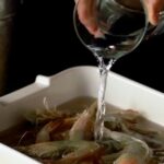 udang terpapar radioaktif 5