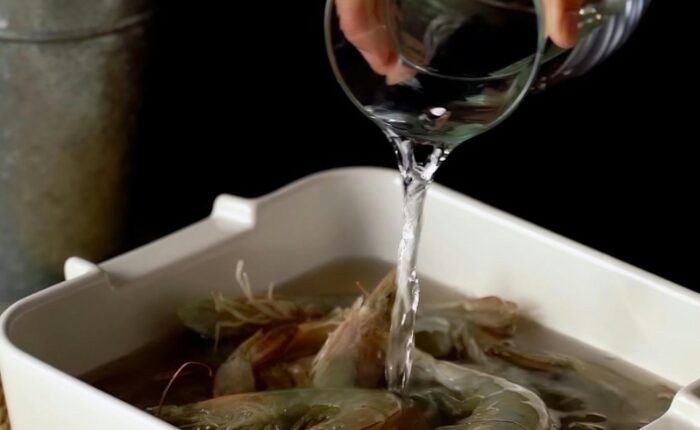 udang terpapar radioaktif 5