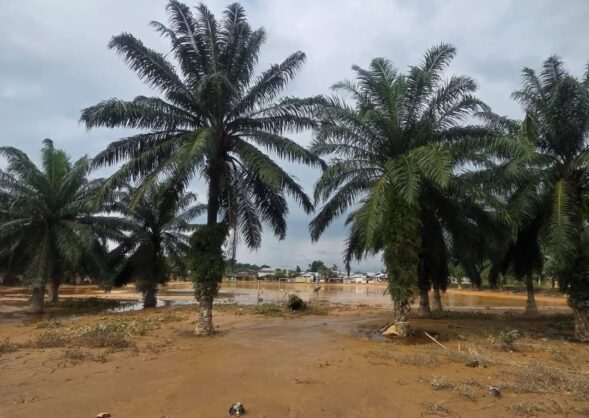 banjir Aceh Sumatera