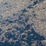 perusahaan: keseimbangan lingkungan dan keuntungan