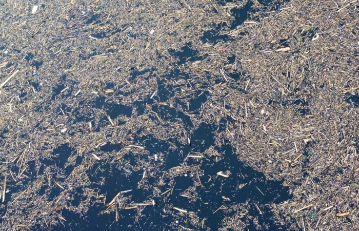 perusahaan: keseimbangan lingkungan dan keuntungan