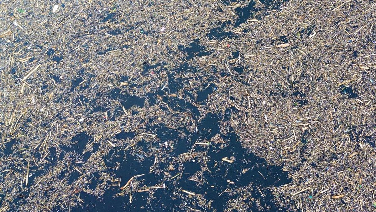 perusahaan: keseimbangan lingkungan dan keuntungan