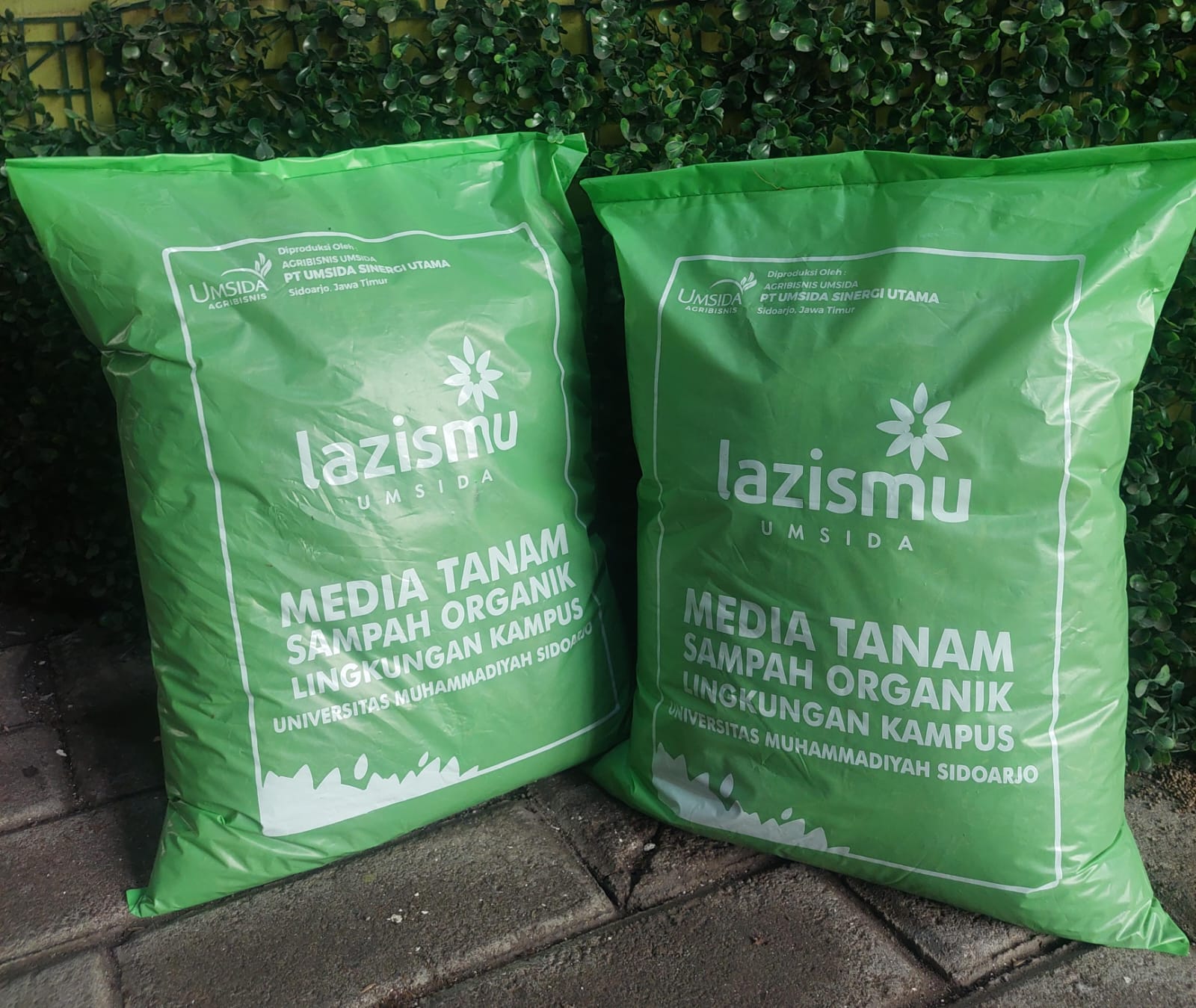 pupuk Lazismu Umsida