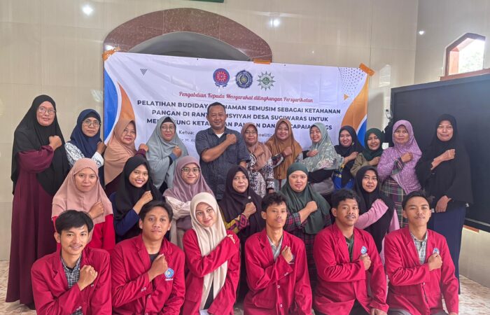 budidaya tanaman semusim 1