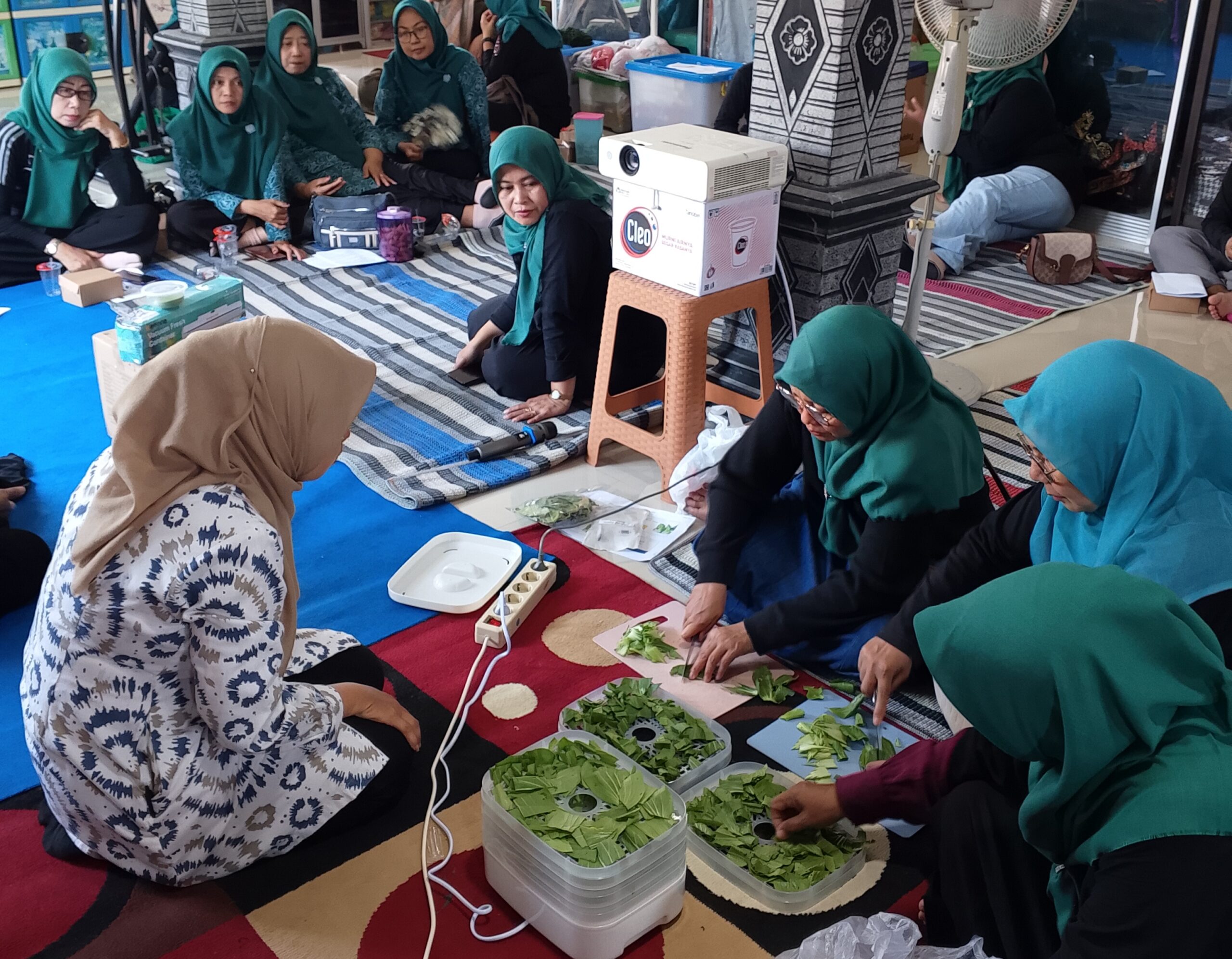 abdimas tepung pakcoy 2