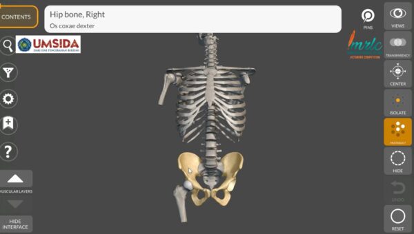 media pembelajaran mik umsida