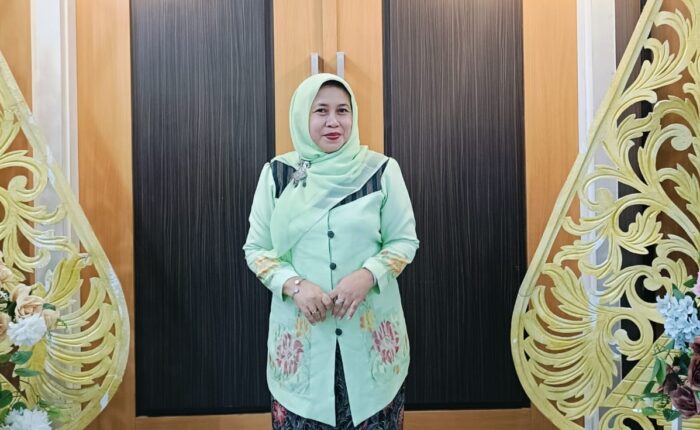pakar Umsida soal harga plastik