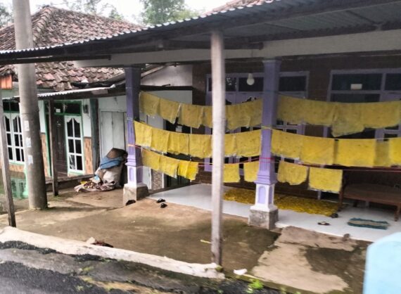 PPK Ormawa Desa Wonosunyo