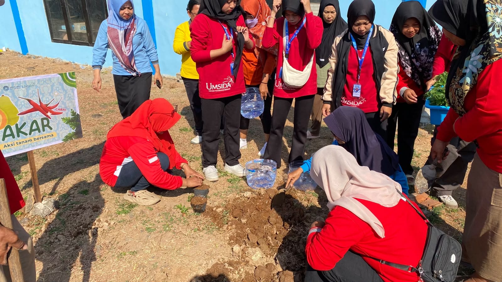 penanaman bibit