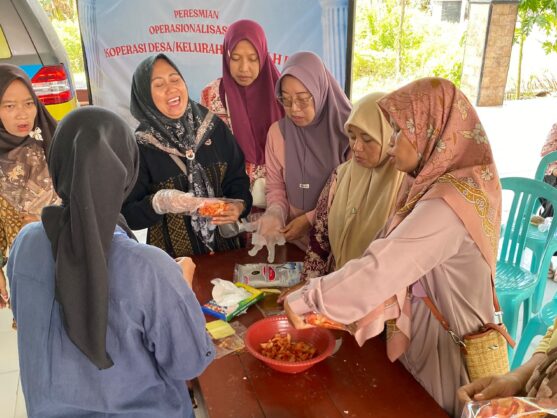 umkm desa balungtawun