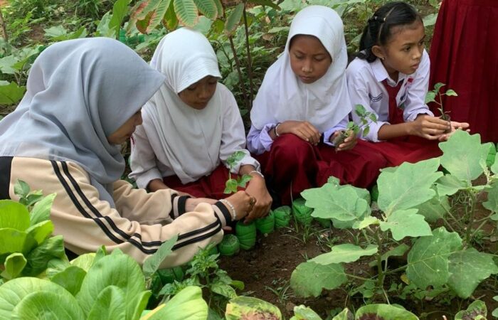 pendidikan di Pohjejer dan Bleberan