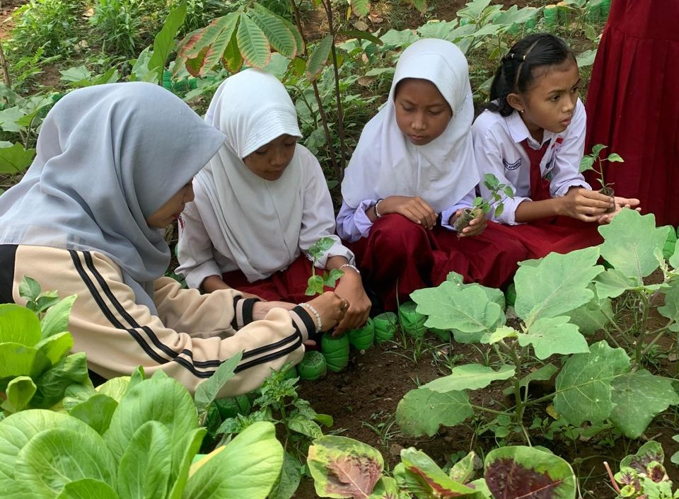 pendidikan di Pohjejer dan Bleberan