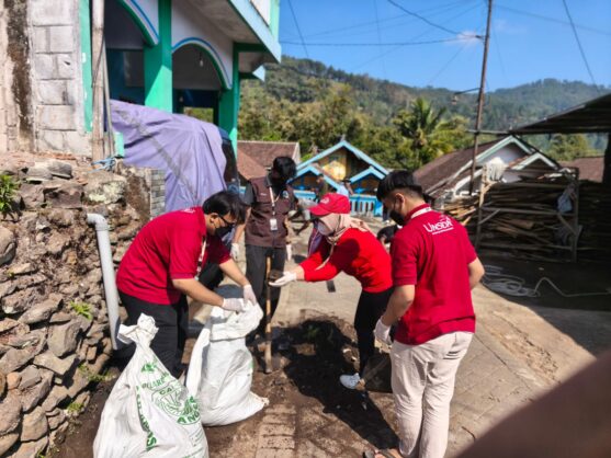 pupuk kompos kotoran sapi