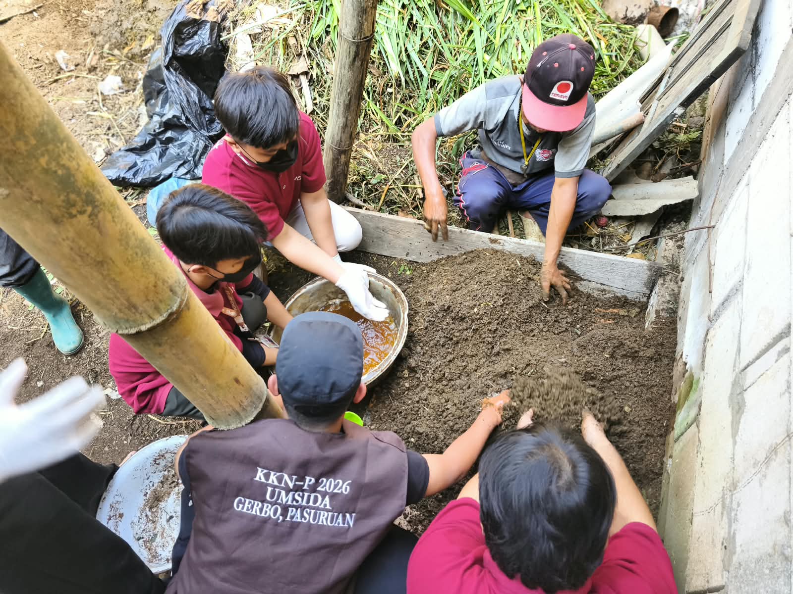 pupuk kompos kotoran sapi