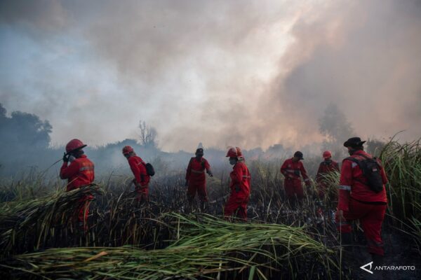 karhutla (Dok Antara Foto) 1