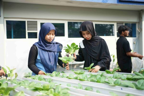 panen agroteknologi