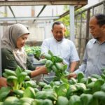 panen agroteknologi