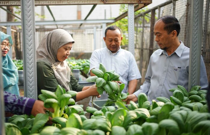 panen agroteknologi