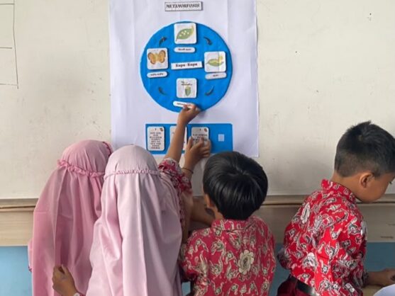 Media Papan Interaktif Metamorfosis (4)