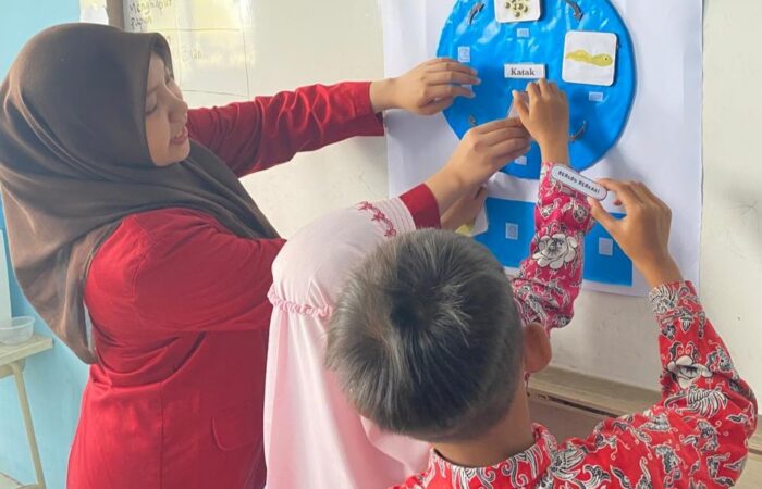 Media Papan Interaktif Metamorfosis (4)