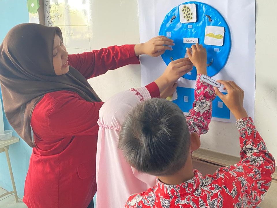 Media Papan Interaktif Metamorfosis (4)