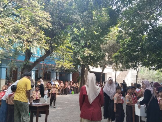 market day plp 2 (3)